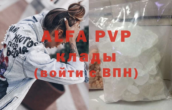 индика Семёнов