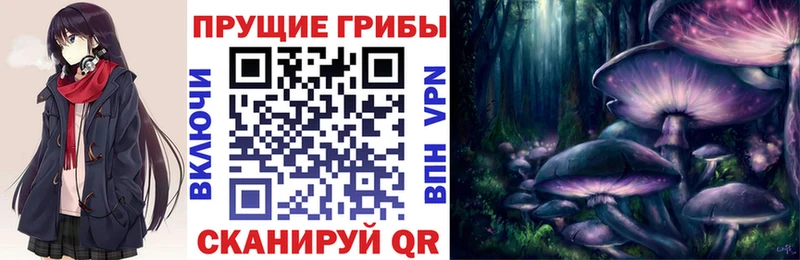 наркота  маркетплейс наркотические препараты  Псилоцибиновые грибы MAGIC MUSHROOMS  Кулебаки 